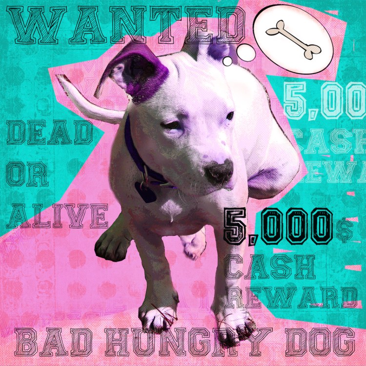 Wanted_LuzGraphicStudio